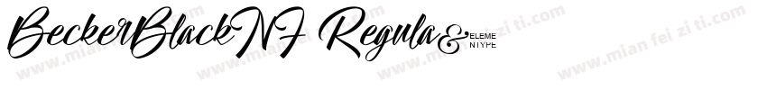 BeckerBlackNF Regula字体转换